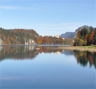 königlicher Blick über den Alpsee