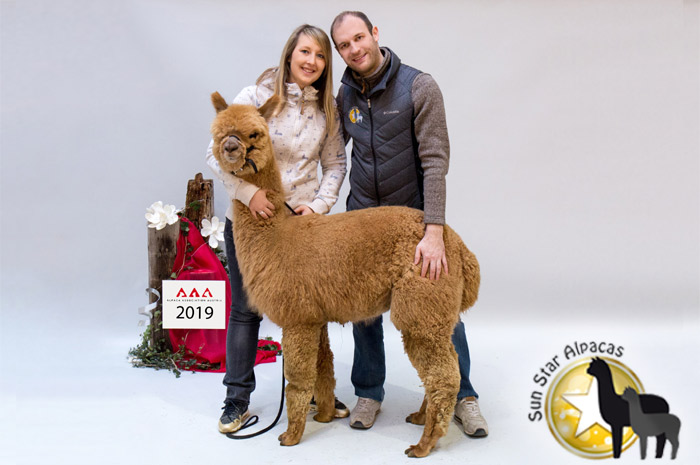 sun-star-alpacas.de
Sun Star Alpacas GbR
Die Alpaka Farm in Bayern. sun-star-alpacas.de
Sun Star Alpacas GbR
Die Alpaka Farm in Bayern.